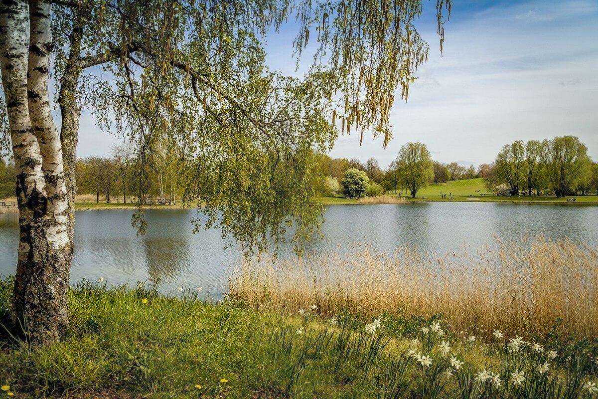 Berlin Britzer Garten